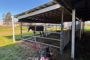 8001 Palermo Honcut, Oroville, CA 95966 - Photo 11