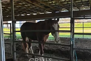 8001 Palermo Honcut, Oroville, CA 95966 - Photo 31