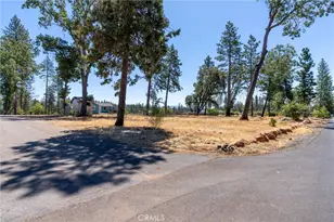 1690 Connell Ln, Paradise, CA 95969 - Photo 39