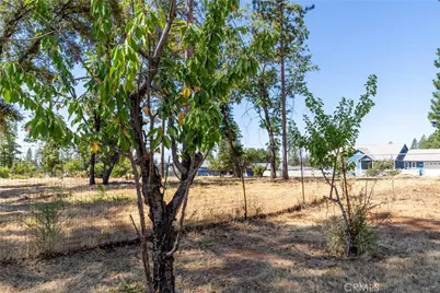 1690 Connell Lane, Paradise, CA 95969 - Photo 27