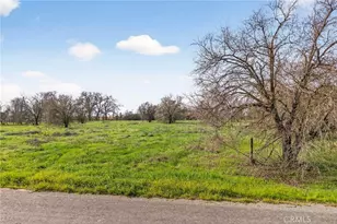4085 Co Rd 203, Hamilton City, CA 95951 - Photo 27