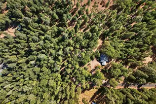 10202 Cohasset Rd, Chico, CA 95973 - Photo 69