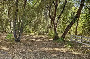 10202 Cohasset Rd, Chico, CA 95973 - Photo 61