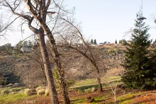 87 Valley View Dr, Paradise, CA 95969 - Photo 55