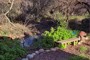 1616 Oro Dam, Oroville, CA 95965 - Photo 27