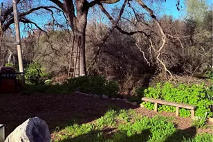 1616 Oro Dam, Oroville, CA 95965 - Photo 29