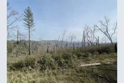 998 Encina Grande, Berry Creek, CA 95916 - Photo 11