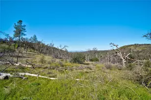 300 Stoney Oaks Blvd, Oroville, CA 95966 - Photo 31