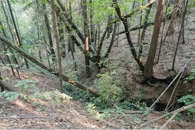 14969 Centerville Road, Magalia, CA 95954 - Photo 25