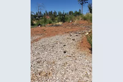 1591 Grey Squirrel, Paradise, CA 95969 - Photo 1