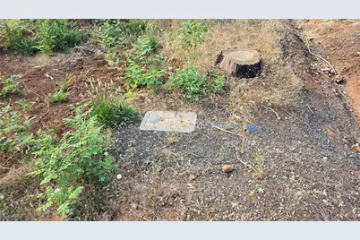 7279 Pentz Road, Paradise, CA 95969 - Photo 5