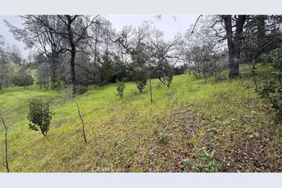 16370 Oakridge Road, Corning, CA 96021 - Photo 5