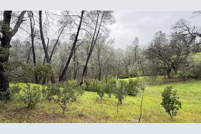 16370 Oakridge Road, Corning, CA 96021 - Photo 3