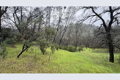 16370 Oakridge Road, Corning, CA 96021 - Photo 9