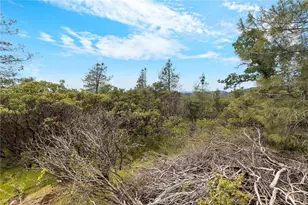 620 Mather Ln, Oroville, CA 95966 - Photo 45
