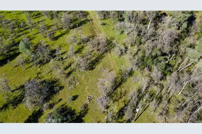 17229 Treat Avenue, Anderson, CA 96007 - Photo 1