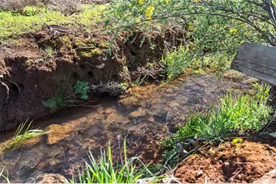 5600 Scottwood Road, Paradise, CA 95969 - Photo 49