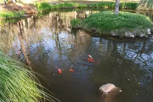 123 Grand Oak Dr, Oroville, CA 95966 - Photo 63