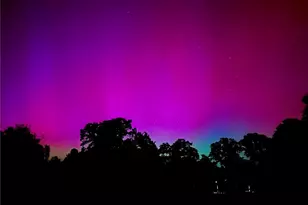 18020 Benson Rd, Cottonwood, CA 96022 - Photo 73