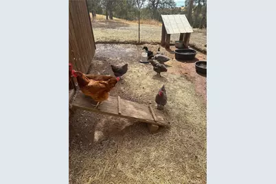 18020 Benson Road, Cottonwood, CA 96022 - Photo 55