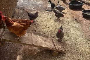 18020 Benson Rd, Cottonwood, CA 96022 - Photo 55