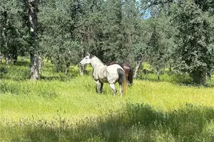 18020 Benson Rd, Cottonwood, CA 96022 - Photo 69