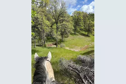 18020 Benson Road, Cottonwood, CA 96022 - Photo 71