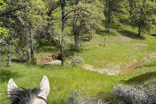 18020 Benson Rd, Cottonwood, CA 96022 - Photo 71