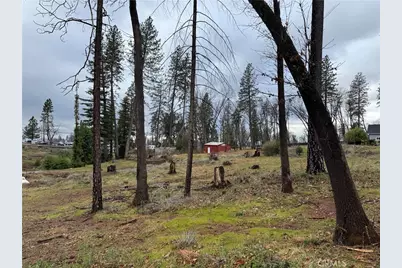 1037 Thomasson Lane, Paradise, CA 95969 - Photo 5