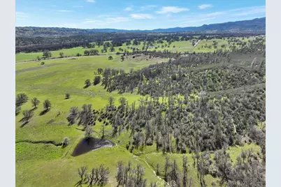 480 County Road 306, Elk Creek, CA 95939 - Photo 47