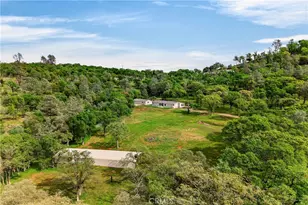 97 Gold Mountain, Bangor, CA 95914 - Photo 41