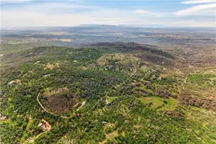 97 Gold Mountain, Bangor, CA 95914 - Photo 69