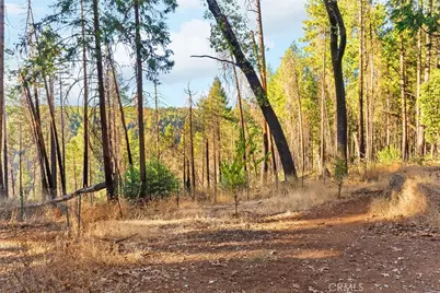 14177 Racine Circle, Magalia, CA 95954 - Photo 47