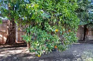 16 Silkwood, Chico, CA 95973 - Photo 31