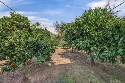 2537 Oro Quincy, Oroville, CA 95966 - Photo 45