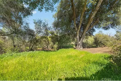 378 Picholine Way, Chico, CA 95928 - Photo 41