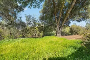 378 Picholine Way, Chico, CA 95928 - Photo 41