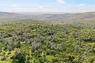 300 Purple Rocks, Oroville, CA 95966 - Photo 49