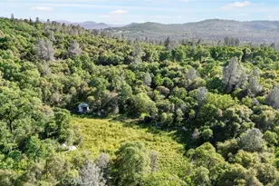 300 Purple Rocks, Oroville, CA 95966 - Photo 41