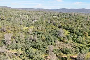 300 Purple Rocks, Oroville, CA 95966 - Photo 43