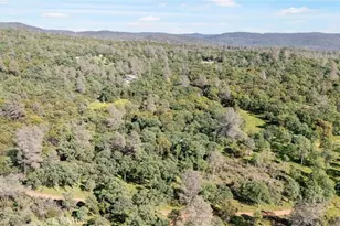 300 Purple Rocks, Oroville, CA 95966 - Photo 43