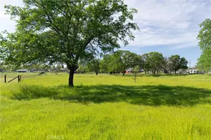 1139 12th St, Oroville, CA 95965 - Photo 31