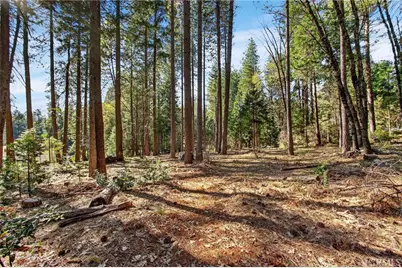 15220 Skyway, Magalia, CA 95954 - Photo 47