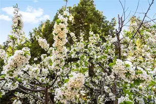 14 Sparrow Hawk, Chico, CA 95928 - Photo 53