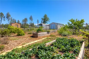 6092 Cliff Dr, Paradise, CA 95969 - Photo 41