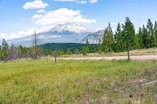 5022 Elderberry, Weed, CA 96094 - Photo 21