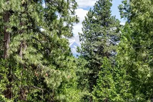 5022 Elderberry, Weed, CA 96094 - Photo 21