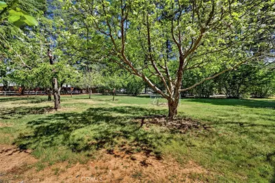 6153 Twin, Paradise, CA 95969 - Photo 61