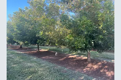 14450 Meridian Road, Chico, CA 95973 - Photo 19