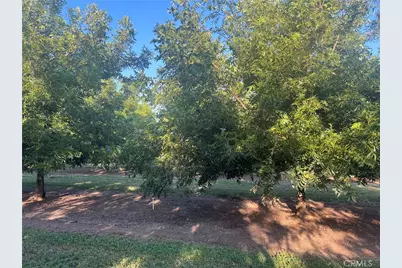 14450 Meridian Road, Chico, CA 95973 - Photo 15